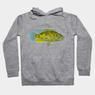 Livingston Cichlid Hoodie